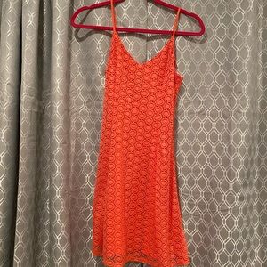 Adorable design labs dress size xs